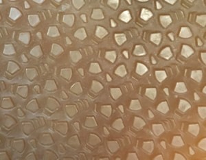 GUMA ZELÓWKOWA BIZZEL/KOLOR KARMEL/380x570x2mm