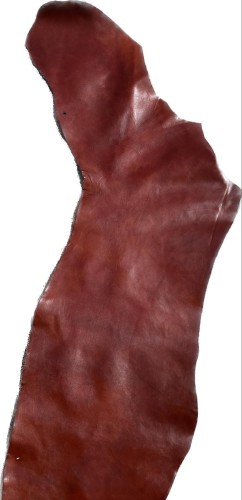 344310536_1276871009611463_414967366815000011_n.jpg